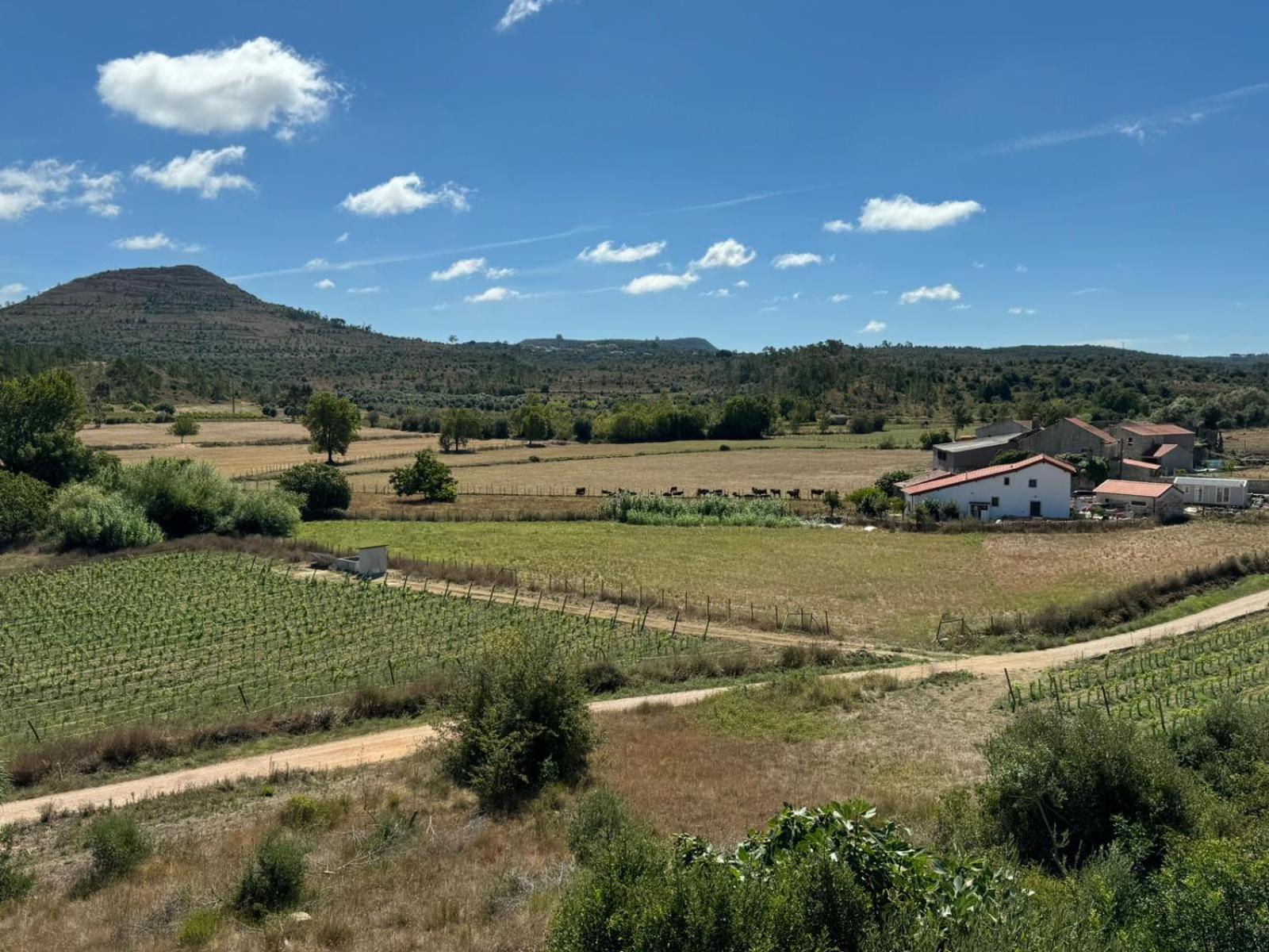Casa Da Lima - Nestled In Nature On Santiago'S And Fatima'S Path, Close To Coimbra And Rabacal Alvorge Exterior foto