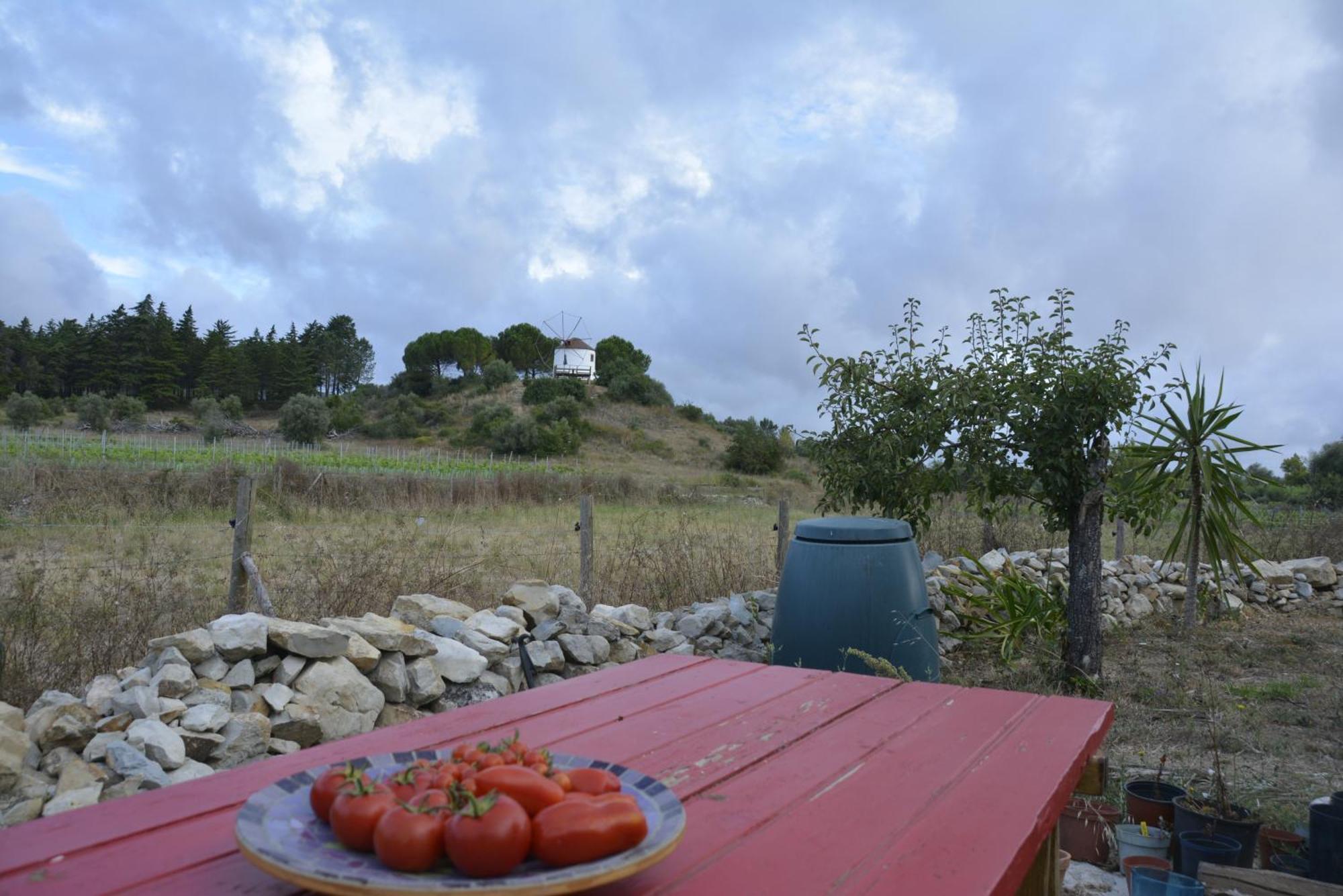 Casa Da Lima - Nestled In Nature On Santiago'S And Fatima'S Path, Close To Coimbra And Rabacal Alvorge Exterior foto