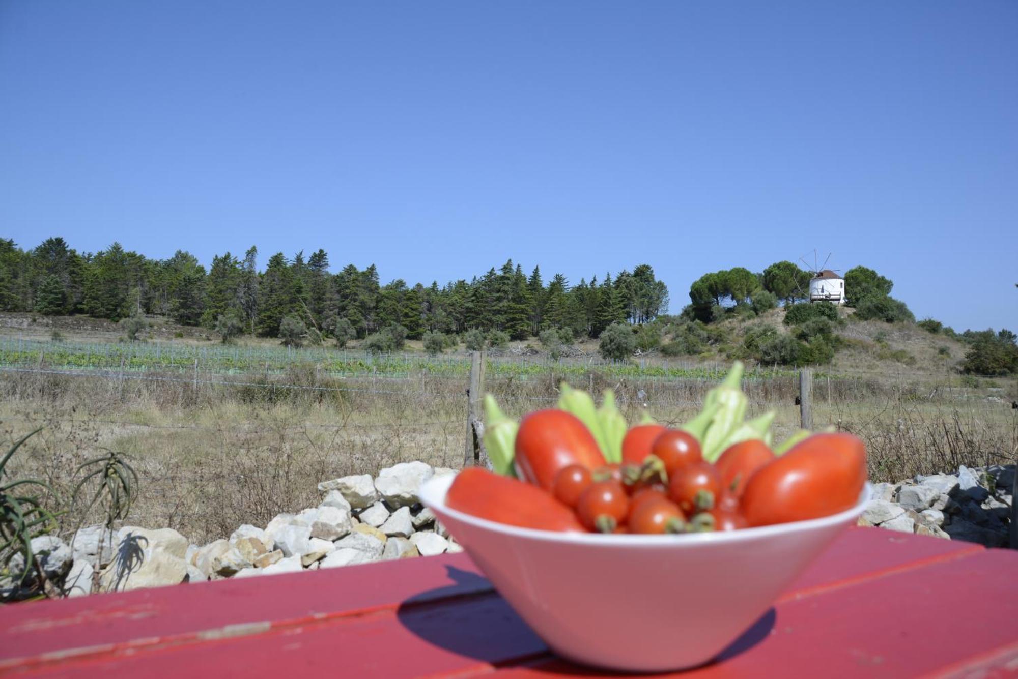 Casa Da Lima - Nestled In Nature On Santiago'S And Fatima'S Path, Close To Coimbra And Rabacal Alvorge Exterior foto